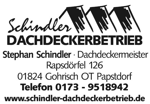 Schindler-Dachdecker.jpg